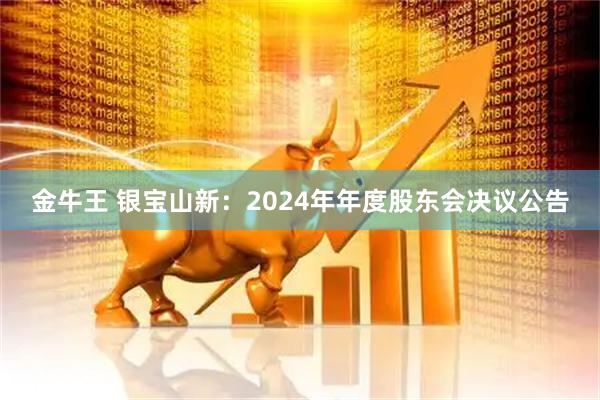 金牛王 银宝山新：2024年年度股东会决议公告