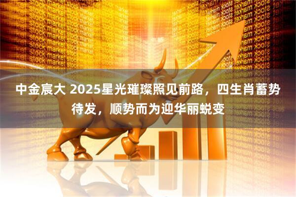 中金宸大 2025星光璀璨照见前路，四生肖蓄势待发，顺势而为迎华丽蜕变