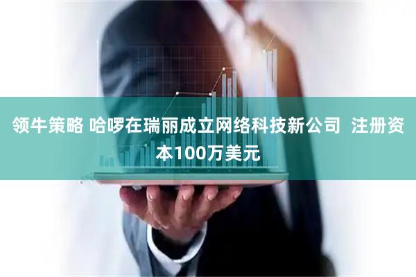 领牛策略 哈啰在瑞丽成立网络科技新公司  注册资本100万美元