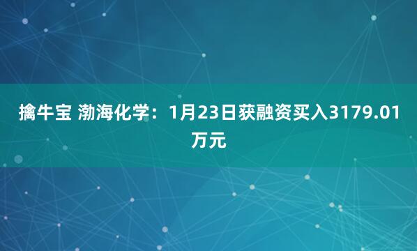 擒牛宝 渤海化学：1月23日获融资买入3179.01万元