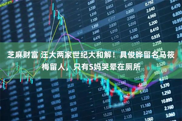 芝麻财富 汪大两家世纪大和解！具俊晔留名马筱梅留人，只有S妈哭晕在厕所