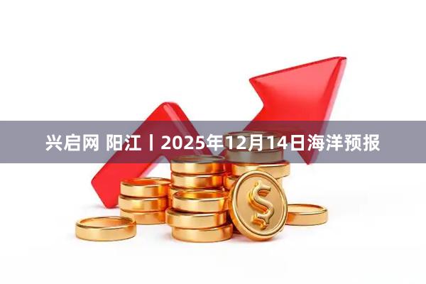 兴启网 阳江丨2025年12月14日海洋预报