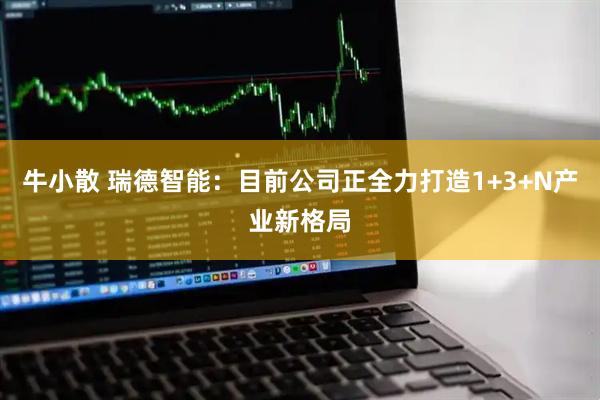 牛小散 瑞德智能：目前公司正全力打造1+3+N产业新格局